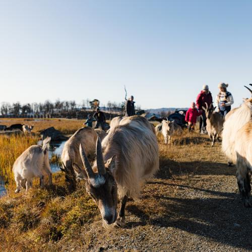 Langedrag Naturpark