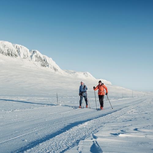 Langrenn Geilo Hallingskarvet