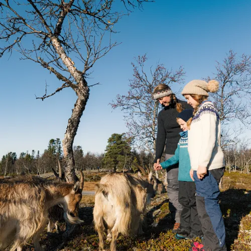 Langedrag Naturpark