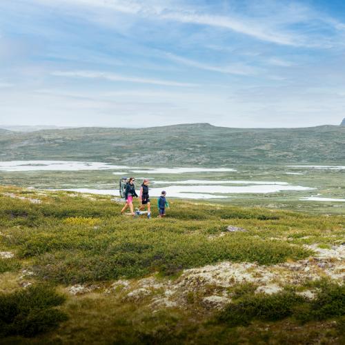 Vandring Hardangervidda