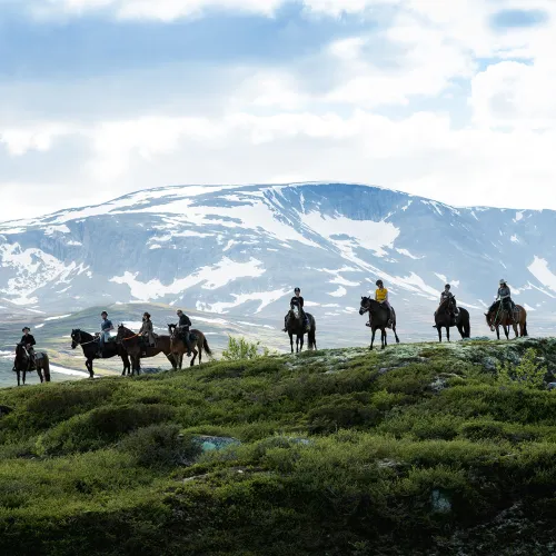 Horse riding in Budalen