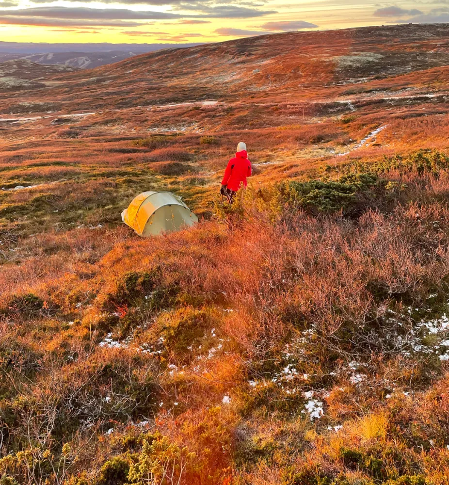 Telt ved Hallingskarvet