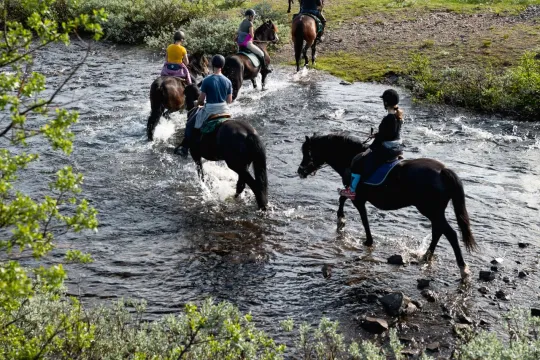 Horseback riding 1 hour - Geilo Aktivitetssenter