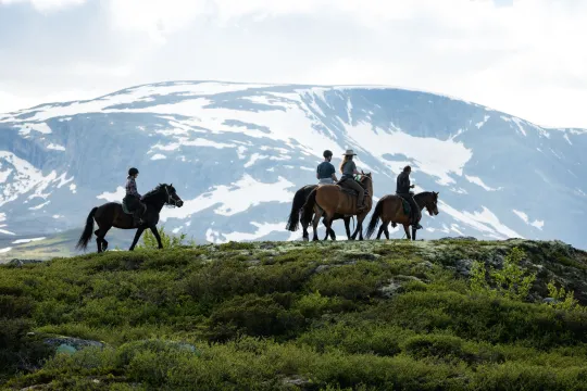 Horseback riding 3 hours - Geilo Aktivitetssenter