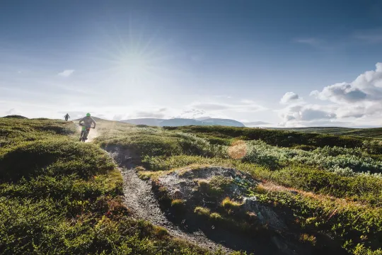 Stisykling med guide - Geilo Aktiv 