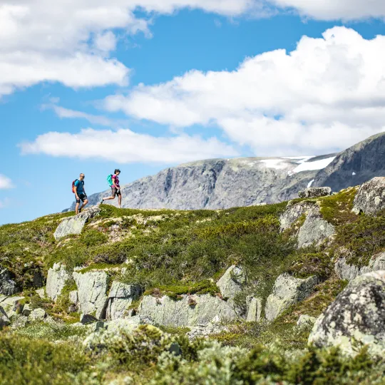 Hiking Hallingskarvet
