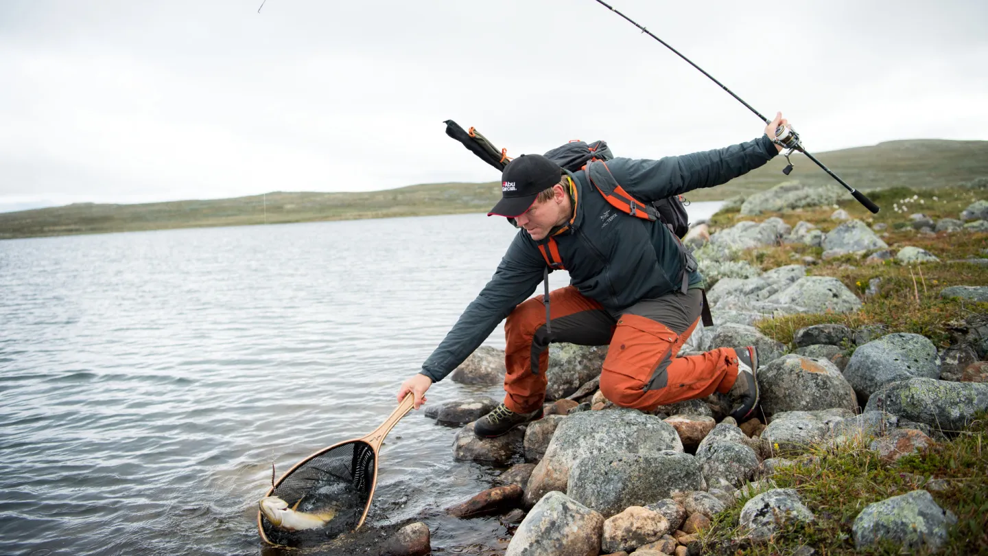 Hardangervidda aktiviteter