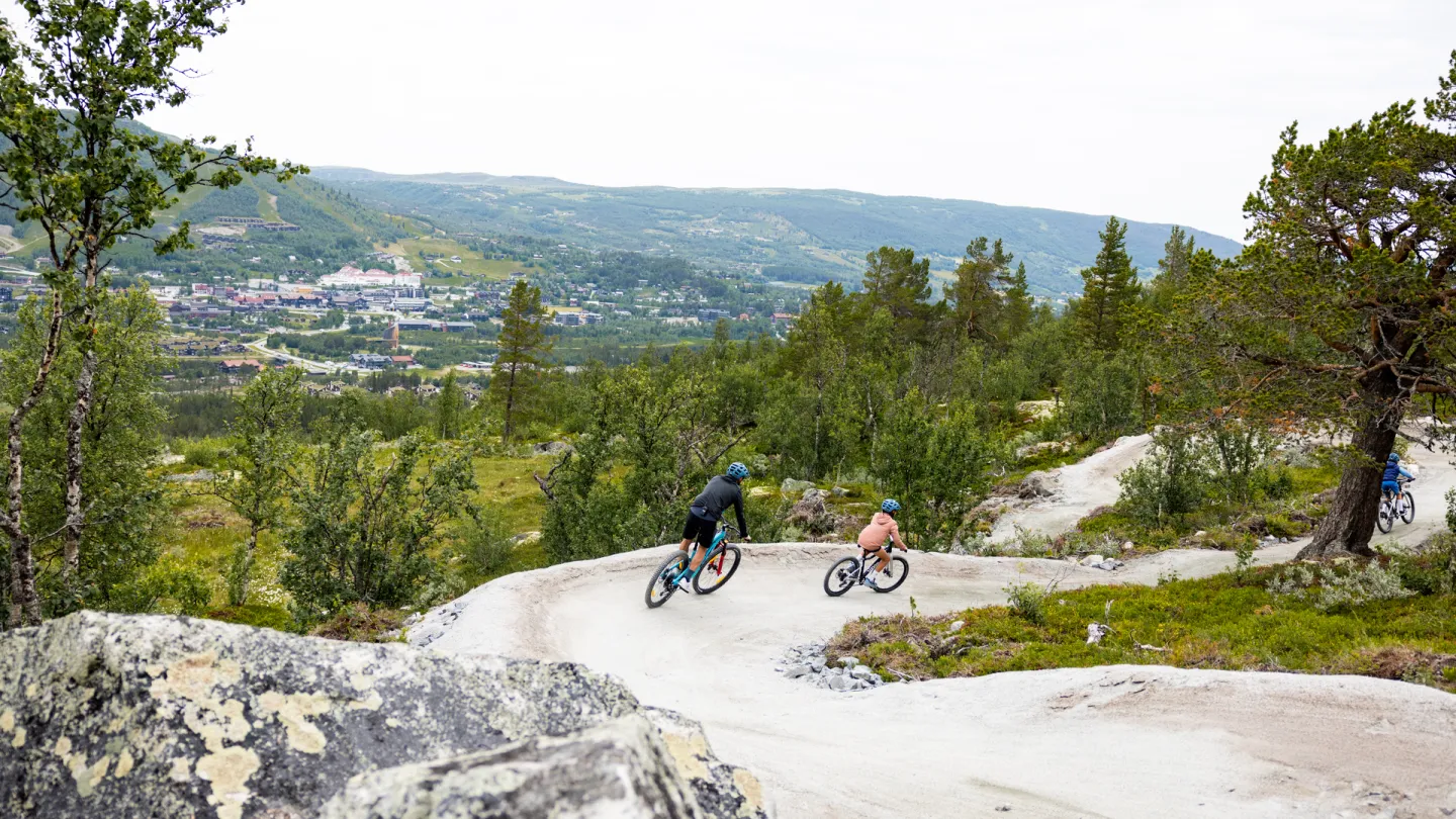 sykkelutleie på geilo