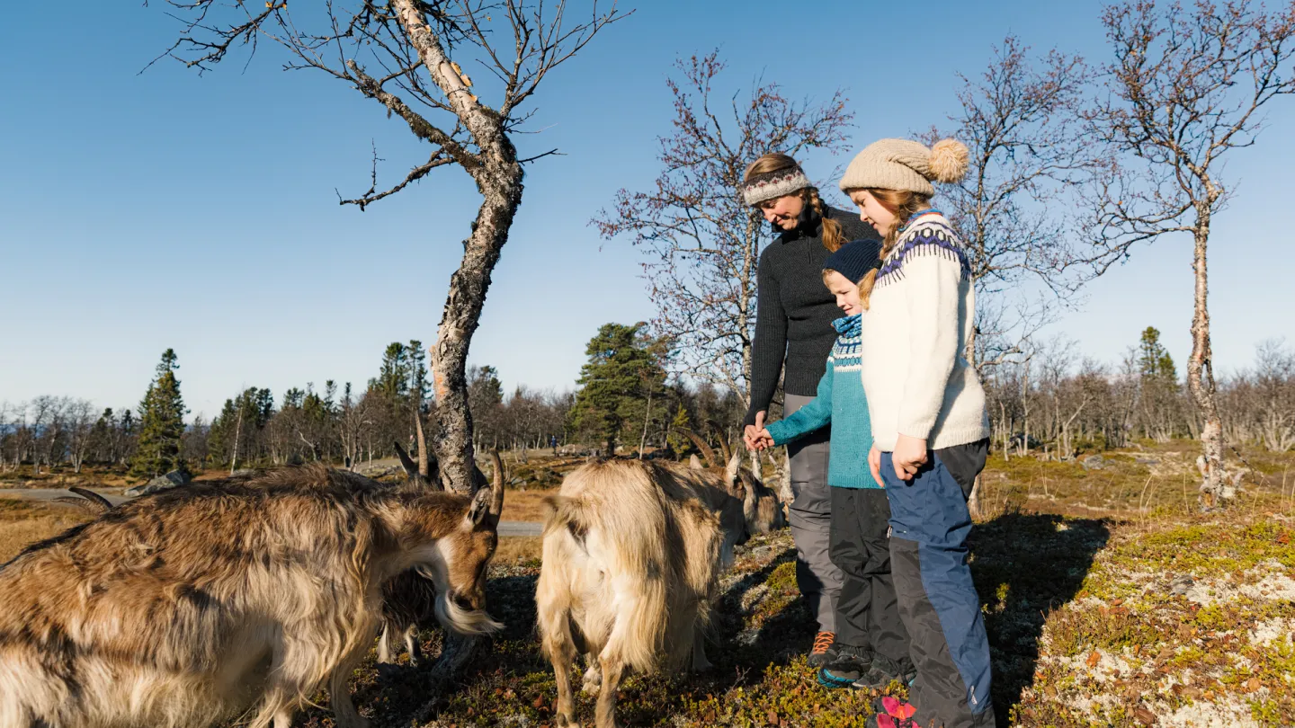 Langedrag Naturpark