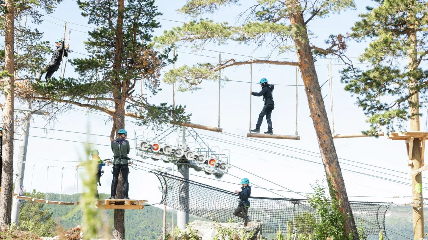 høyt og lavt klatrepark