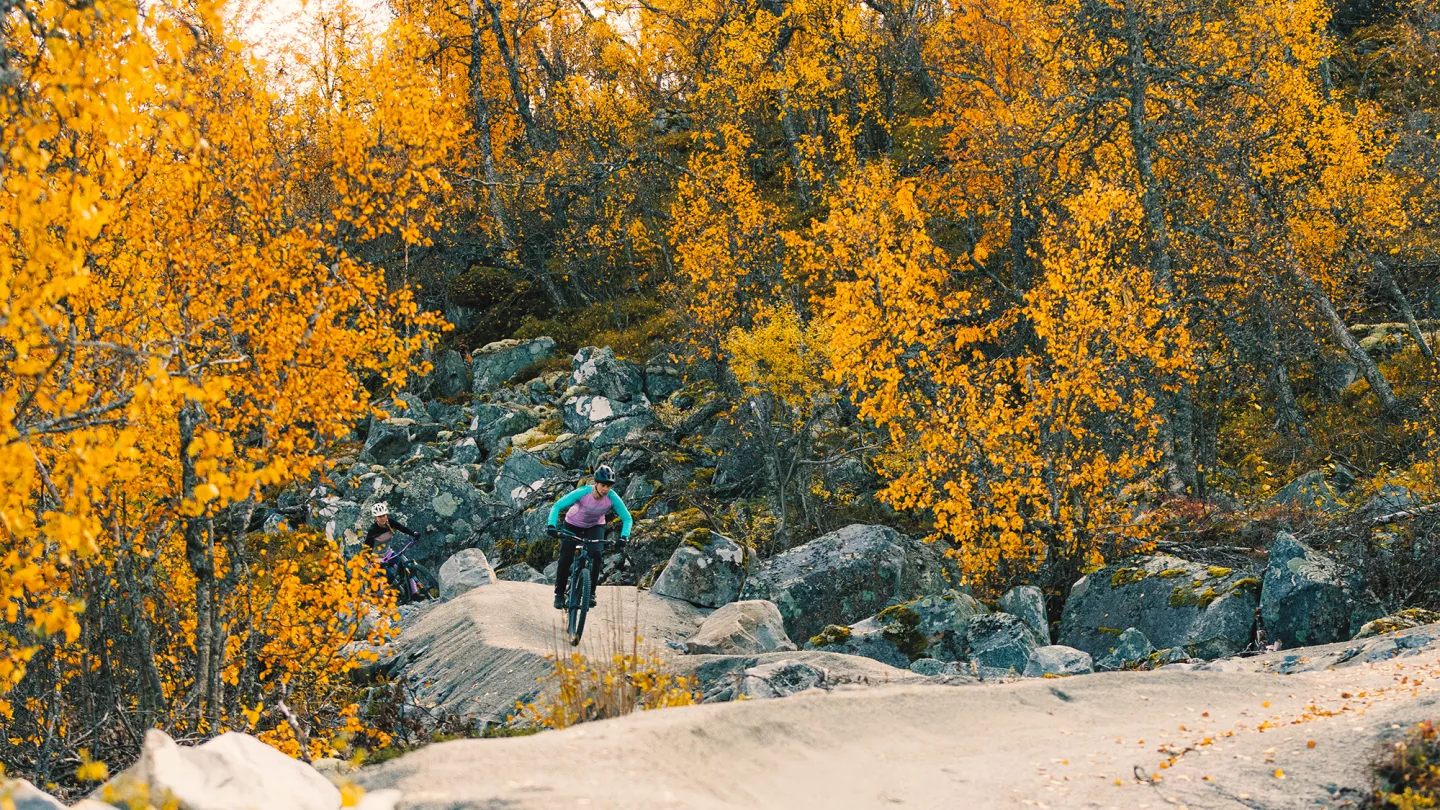 Bike trail