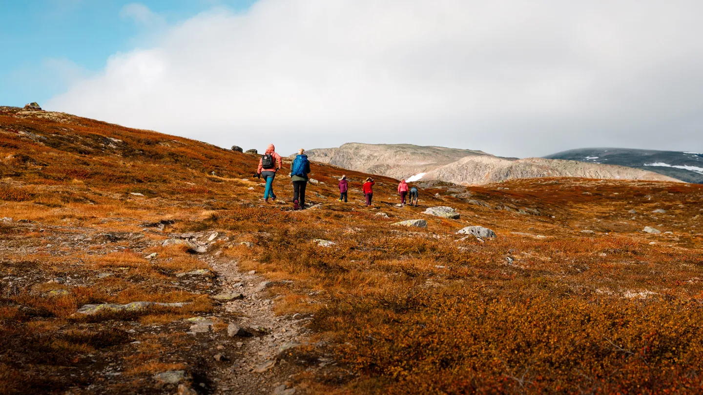 Family hiking