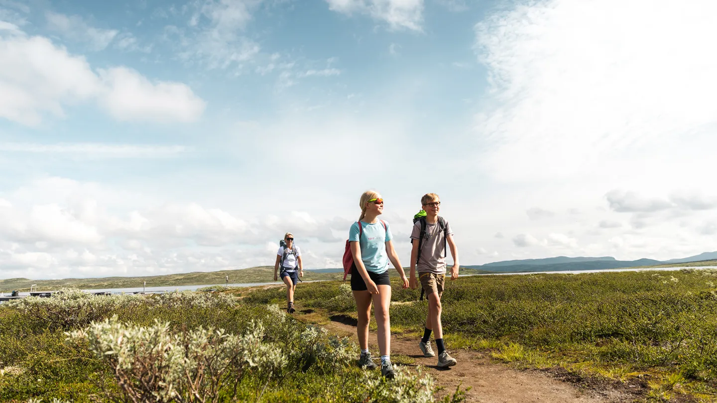 Halnekongen Hiking