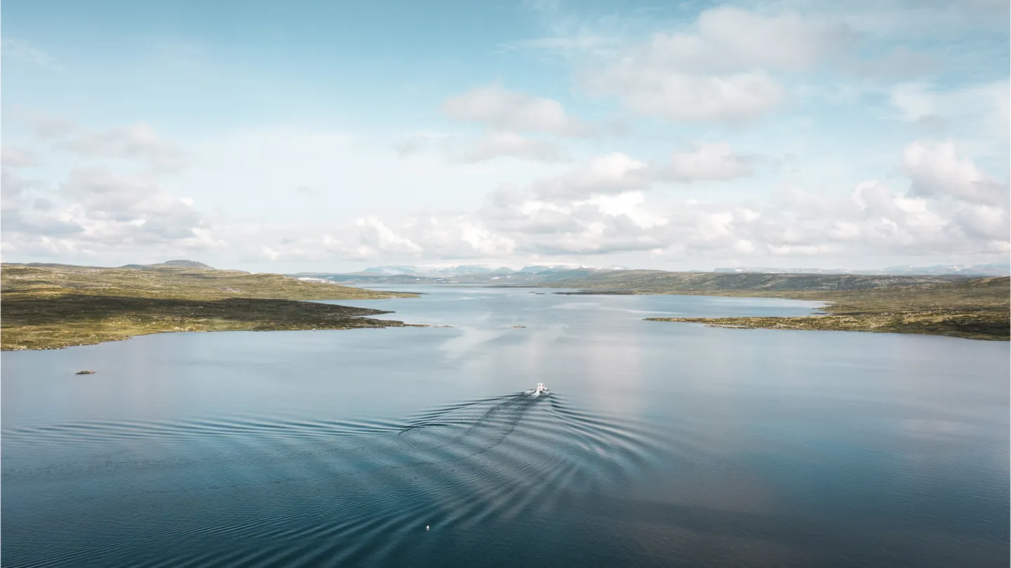 Halnekongen boat