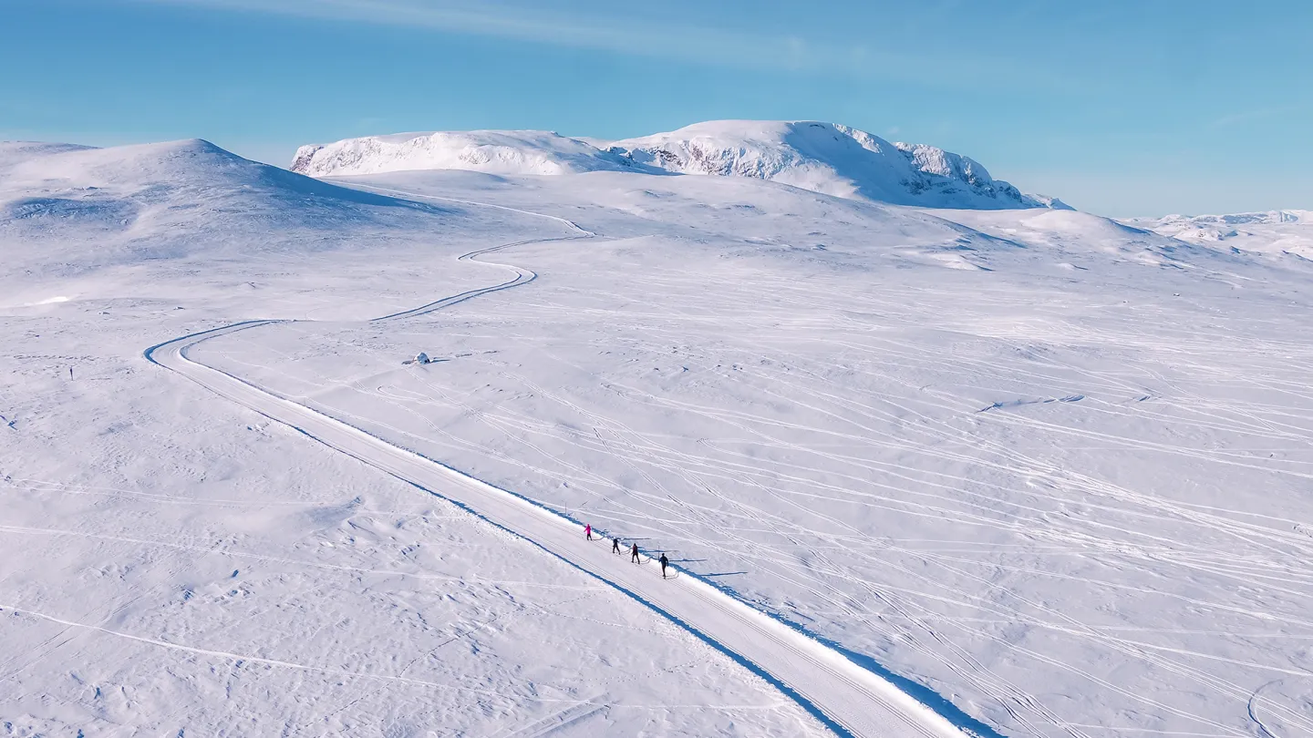 Cross country skiing